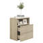 Govanny 50cm W Particle Board / Chipboard Bedside Table-987237590