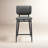 Inola Upholstered Counter Stool with Metal Frame