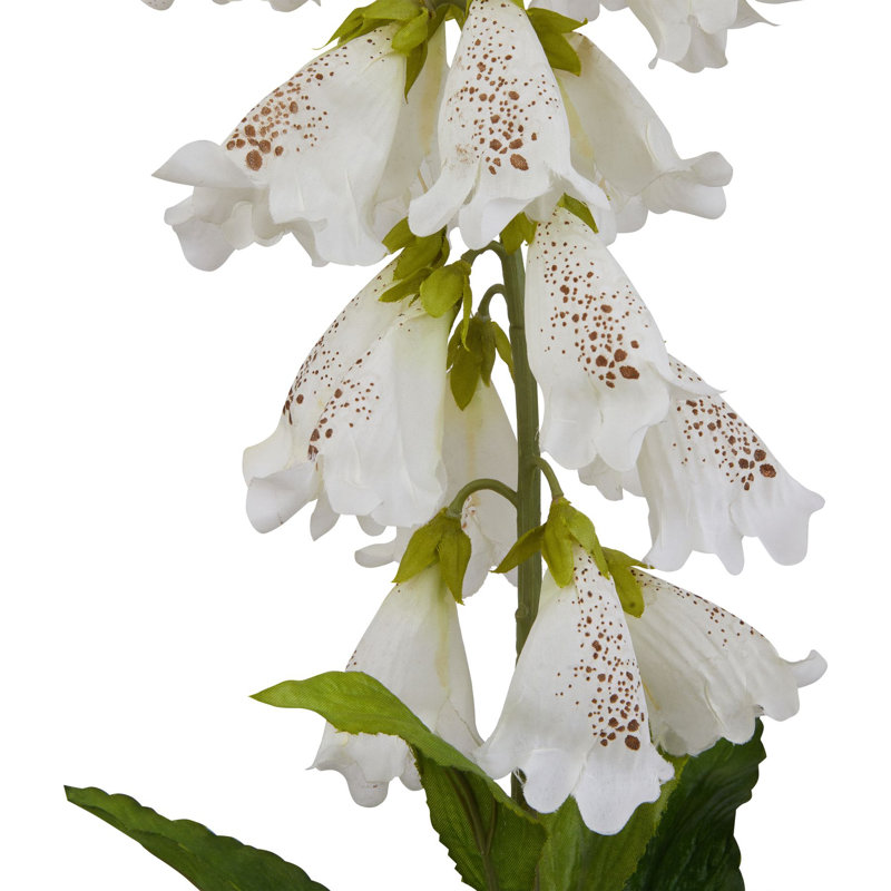The Natural Garden Collection Foxglove, White, 11cm H x 6cm W x 6cm D