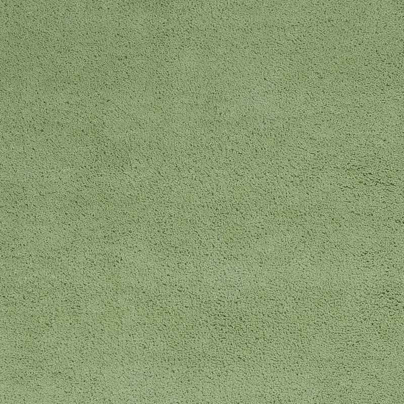 Tapis intérieur vert à poil long Spearmint