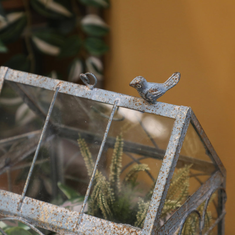 Terrarium en verre vintage avec couvercle - Serre rustique pour plantes grasses