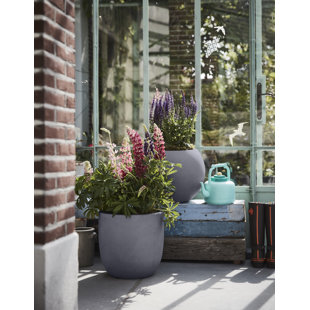 Pot Planter