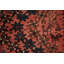 Tapis traditionnel rétro en laine 5 x 6