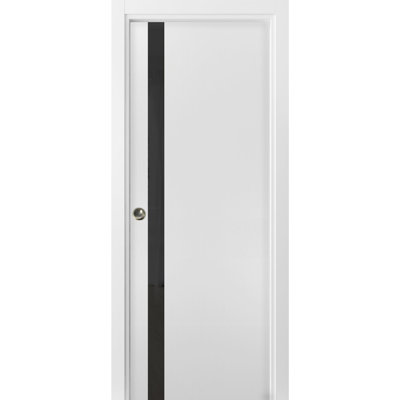 Porte de placard en verre givré Planum