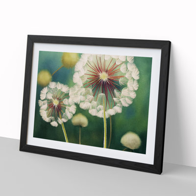 Glowing Dandelion Flowers - Single Picture Frame Print