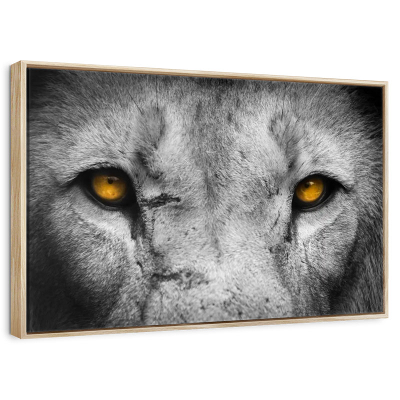 Pop aux yeux de lion, Cadre flottant en bois naturel, 37 po x 25 po