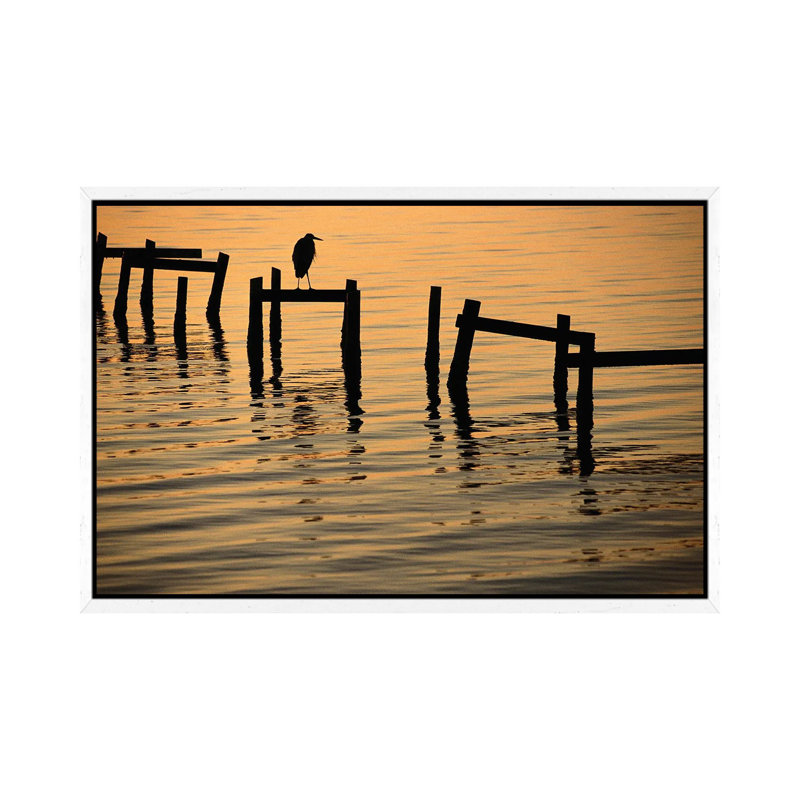 A Silhouetted Heron Perches On The Pilings Of An Old Dock by Joel Sartore - Gallery-Wrapped Canvas Giclée on Canvas