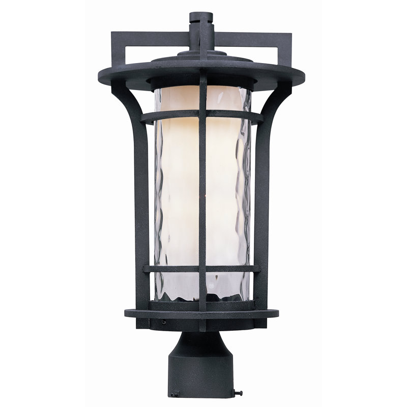 Kines Lantern Head