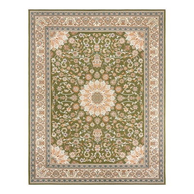 Indoor/Outdoor Traditional Area Rug