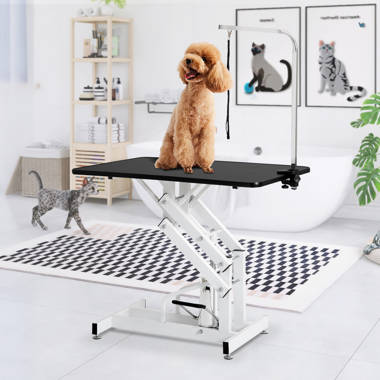 Hydraulic Adjustable Pet Dog Grooming Table with 1 Noose