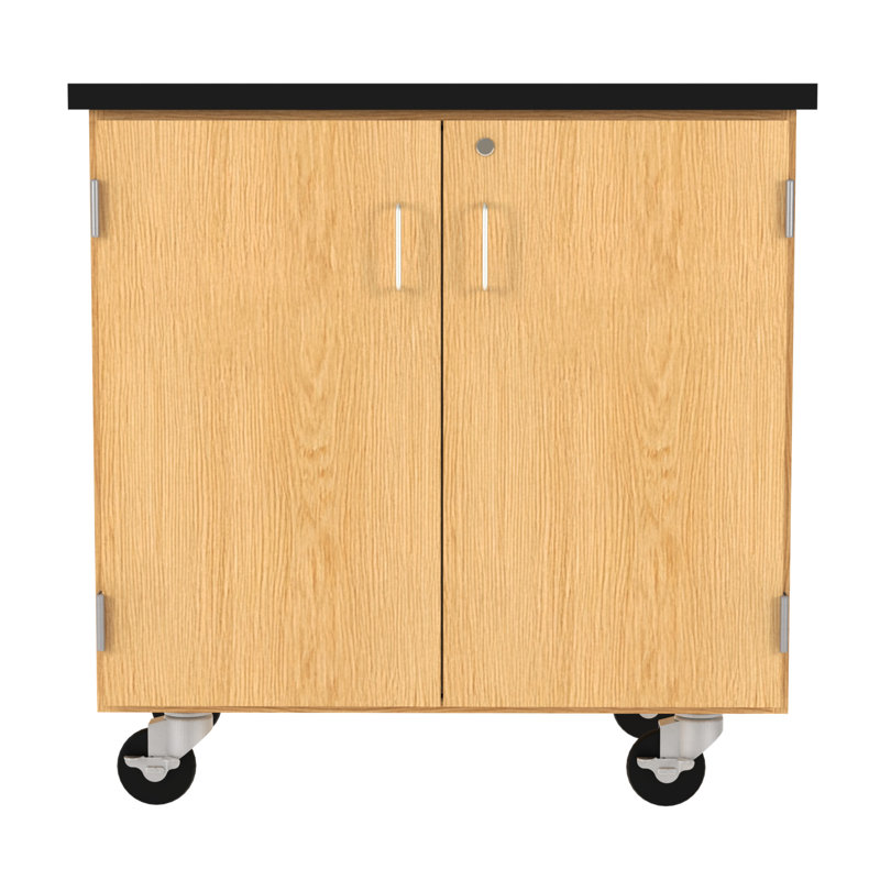 Armoire de rangement mobile diversifiée Science Classroom, l 36 po x P 24 po x H 36 po, 2 portes verrouillables, tablette réglable, plateau ChemGuard, roulettes, fabriquée aux États-Unis