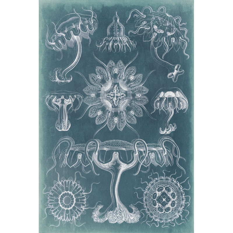 Sealife Blueprint III - Wrapped Canvas Painting, 122cm H x 81cm W x 3.8cm D