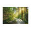 No Frame Print on Canvas-538987128