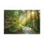 Wall Art on Canvas-538987128