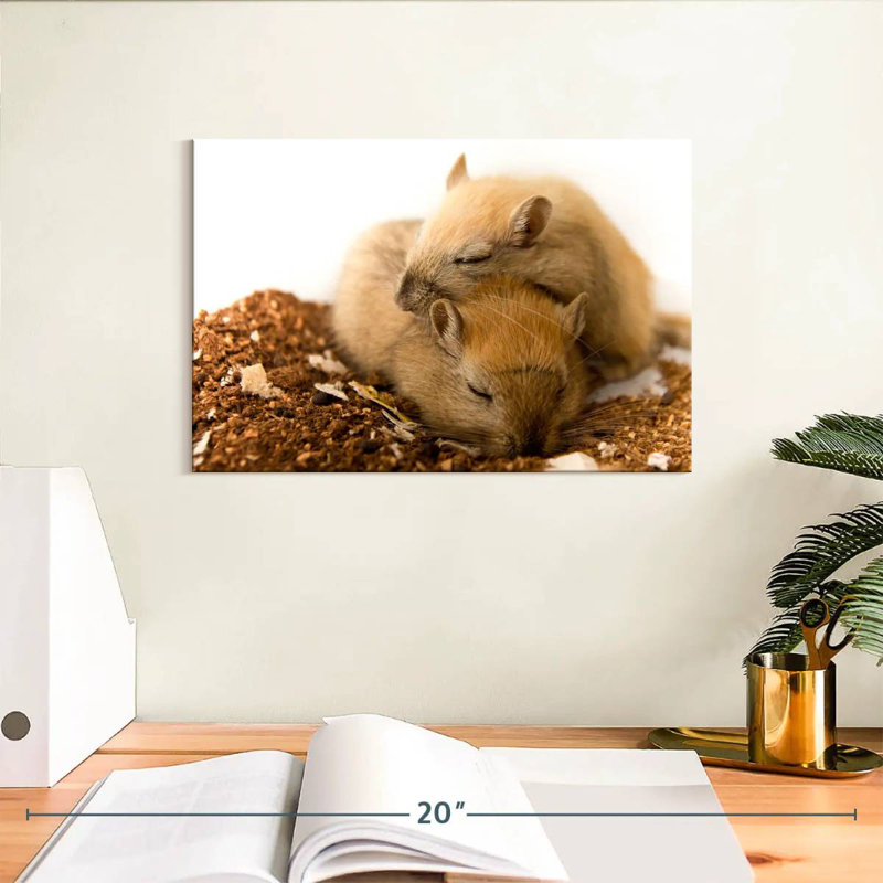 Sleeping Gerbils, 8" H x 12" W