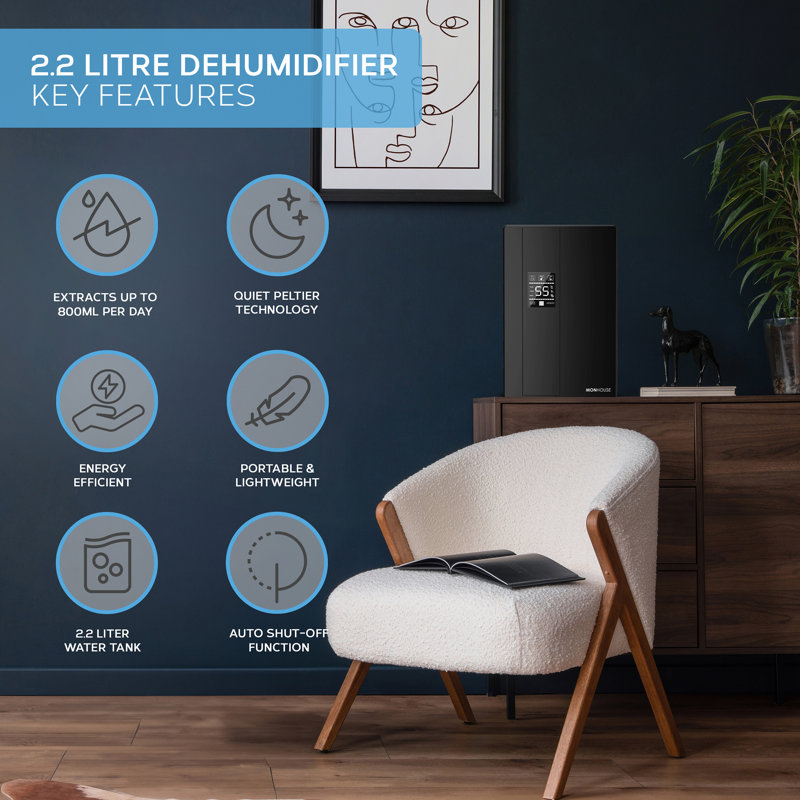 Dehumidifier 24H Timer Ultra Quiet Mould & Damp Remover 2.2L Capacity, Black