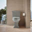 Memoirs® Stately Comfort Height 1.28 GPF Elongated Two-Piece Toilet-65045841-10978250
