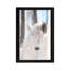 White Horse by Chelsea Victoria - Print on Canvas-42161063-89229287