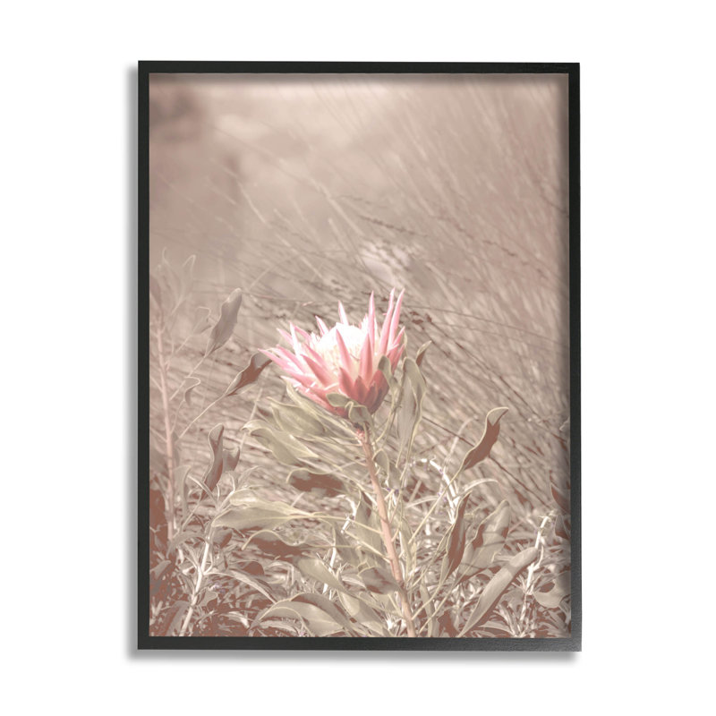 Lone Pink Flower Grassland par Lil 'Rue - photographie sur toile, Giclée encadrée noir minuit, H 14 po x l 11 po x P 1,5 po