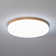 Trotman Acrylic LED Flush Mount