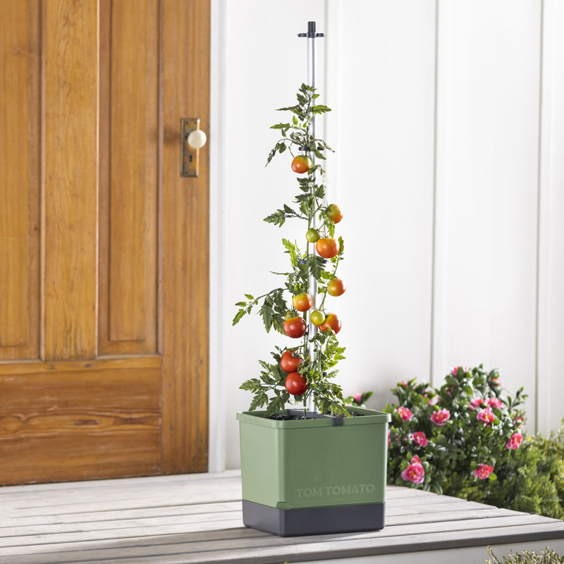 Boîte à fleurs en plastique avec treillis