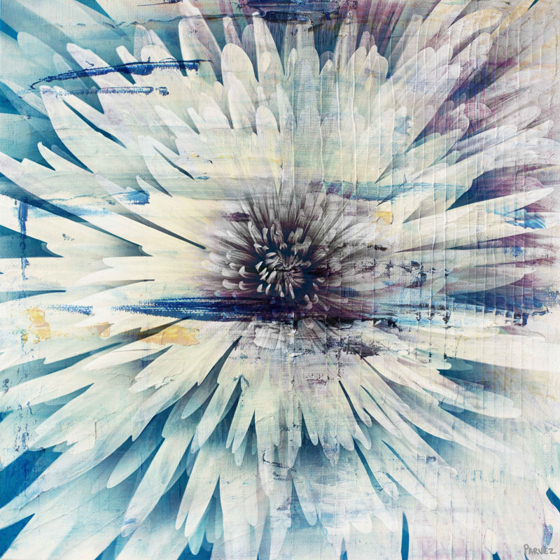 Parvez Taj - Wrapped Canvas Print, 45cm H x 45cm W