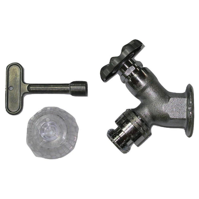 Robinet mural chromé brut Proflo PFWFDRC 1/2 "FPT INL NF