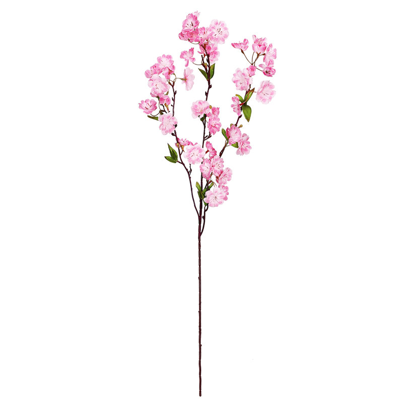 Fleur de cerisier en fleurs, Rose