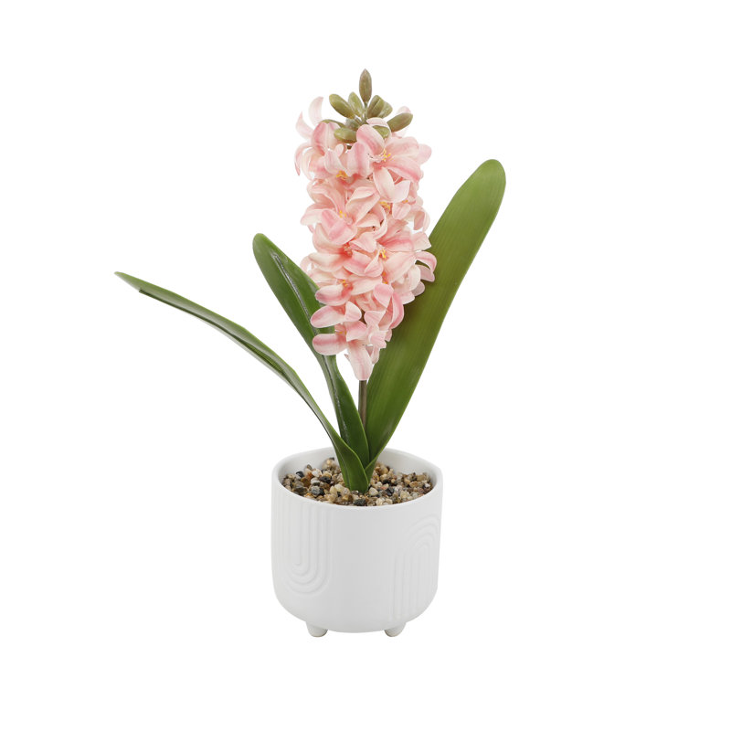 Centre de table Hyacinth en pot