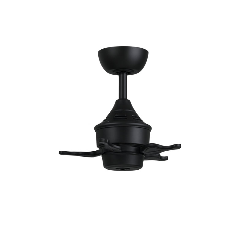Islander DC 52 inch Indoor/Outdoor Ceiling Fan - Brushed Satin Brass with Koa Wide Oval Palm-Inspired Blades