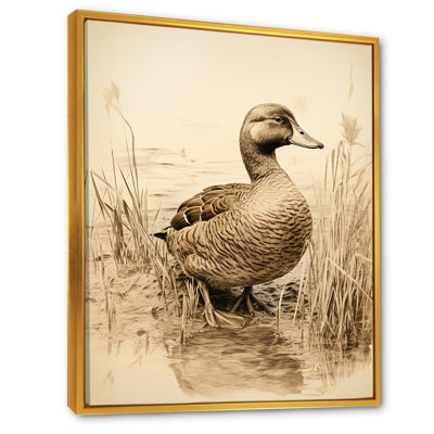«Brown Duck Elegance II» - Art mural animal canard