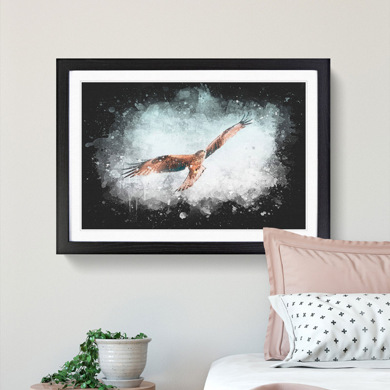 Black Kite Bird - Picture Frame Painting Print, Black Framed, 24cm H x 33cm W x 2cm D