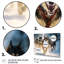 «Alaska Dog Sledding I», art mural sur toile-1301185142-1301185143