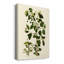 Olive Greenery V - peinture sur toile tendue-1700762143