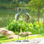 Bird Crane Garden Statue