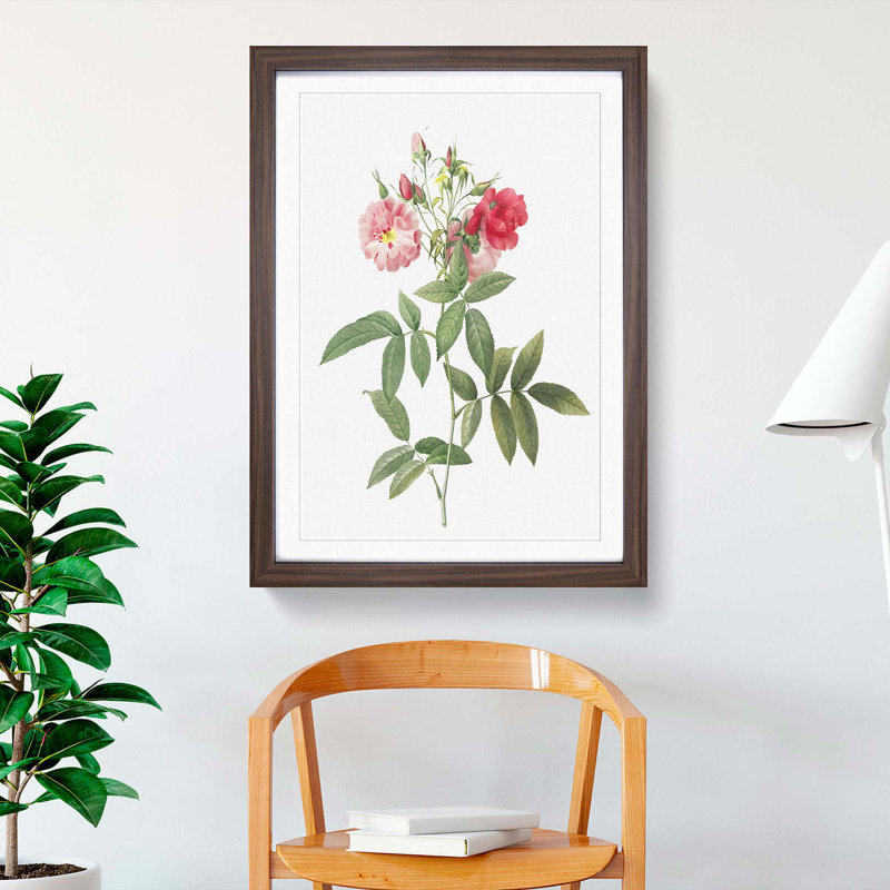 Hudson Rose in Pink by Pierre-Joseph Redoute - Picture Frame Painting Print, 36cm H x 27cm W x 2cm D, Walnut Framed