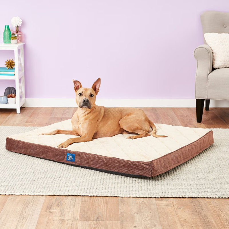 Lit orthopédique matelassé pour animaux Serta, Très grand (l 47 po x P 39 po x H 3,5 po), Gris