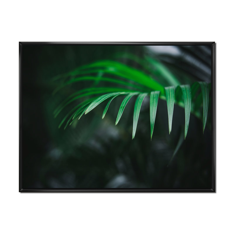 Fougère vert foncé sur fond noir, reproduction d'art sur toile tropicale, H 12 po x l 20 po, Toile à cadre flottant noir