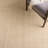 Martha Stewart Sisal/Jute Solid Color Rug in Ivory-1284504059