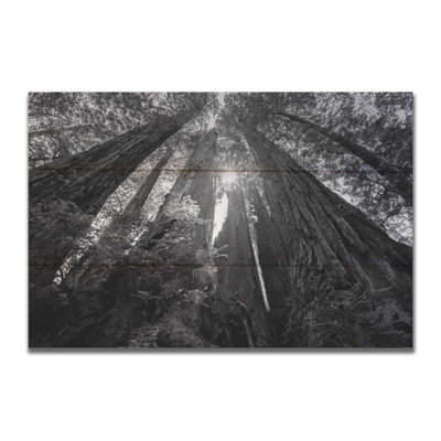 "Parmi les Giants" par Scott Barlow sur