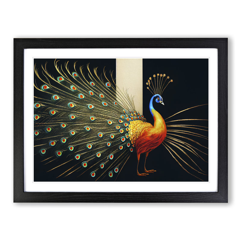 Cosmopolitan Peacock - Framed Print, Black, 46cm H x 64cm W x 2cm D