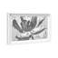 Full Bloom Framed Graphic Art-554929484-554929491