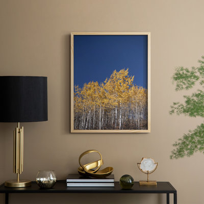 Amber in the Forest, reproduction encadrée - bois massif