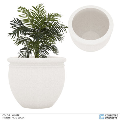 Dora Planter