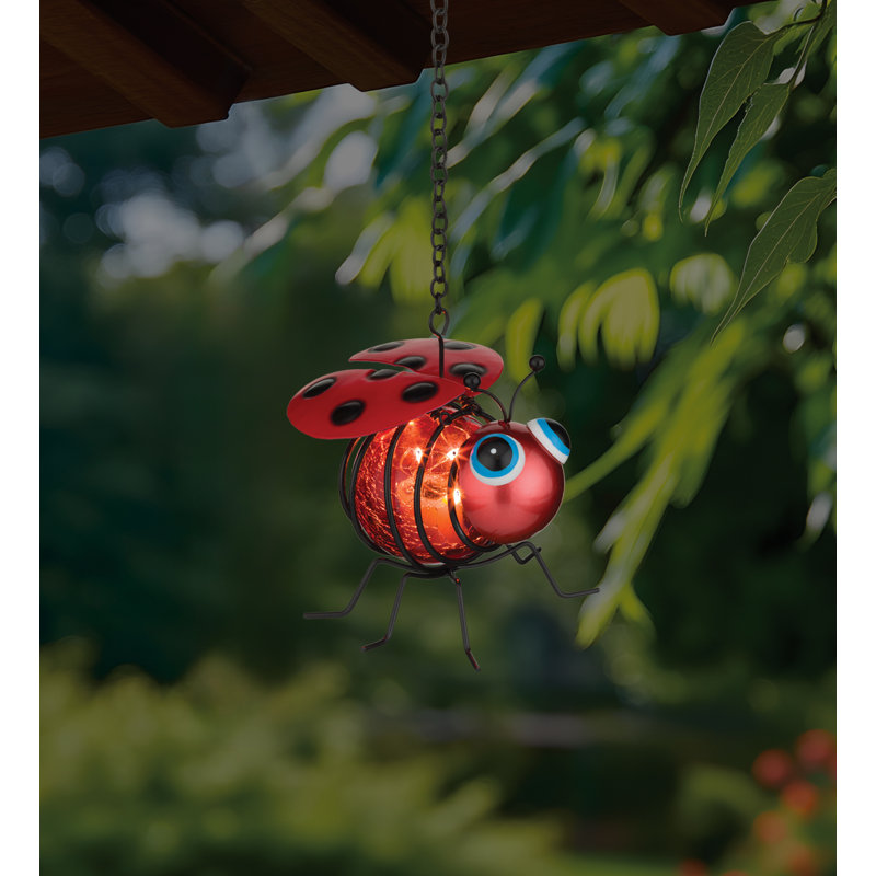 Mini Bug Solar Lantern - Ladybug