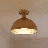 Darrah 1-Light Ceiling Light-1811460160