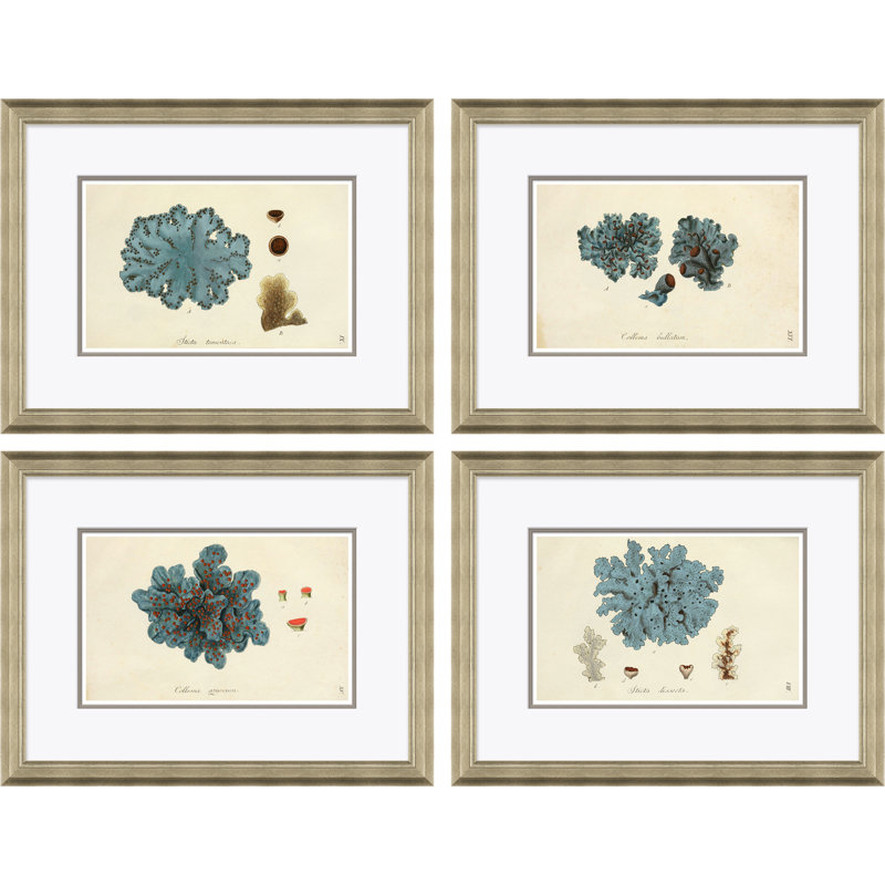 Blue Coral Giclee Print by Paul Cezanne