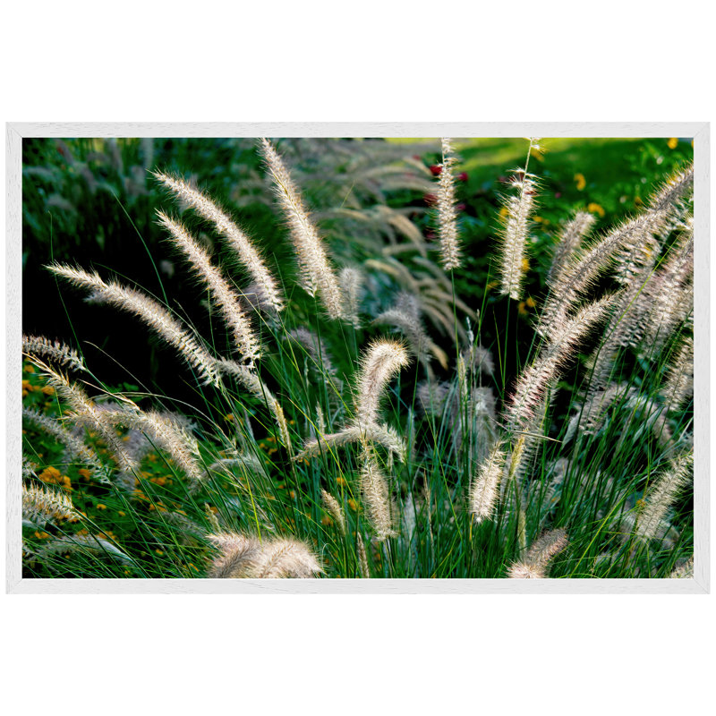 Andrew Lee - Wrapped Canvas Print, White Framed, 76cm H x 114cm W x 4cm D