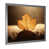 Silver Single Picture Framed