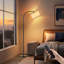  Lampe sur pied arquée 63 "avec ampoule à intensité variable et télécommande